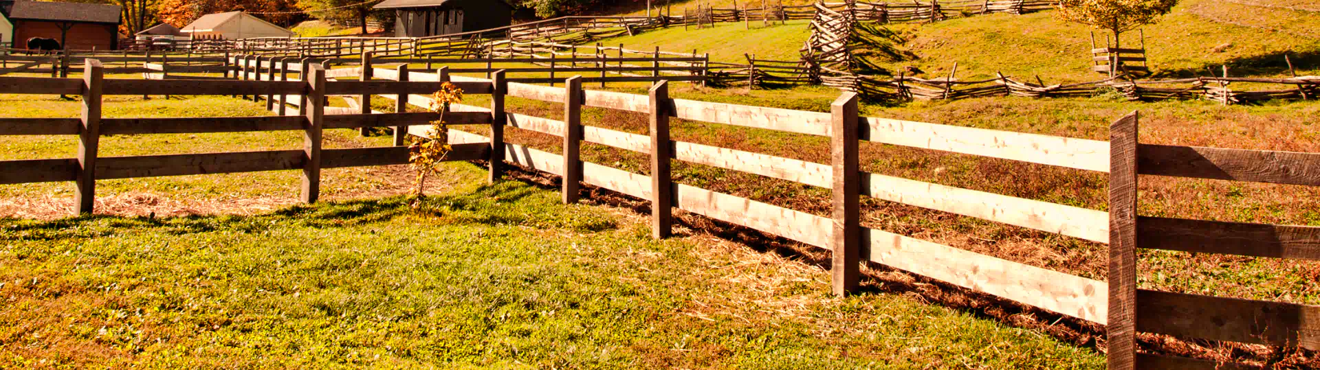 afternoon on the farm with fence
